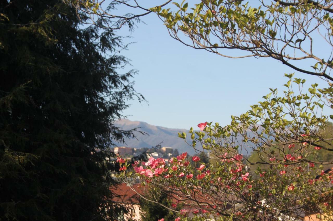 Villa Onorina 卡里美特 外观 照片